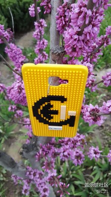 Galaxy A9  韓庚十周年定制款保護(hù)殼