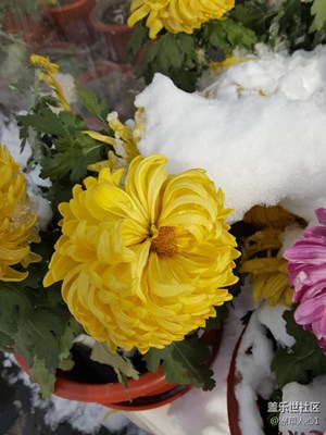 分享一下以前拍的