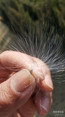 春風(fēng)倩影，隨風(fēng)舞動(dòng)