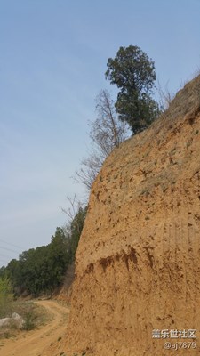 【2016-04-05】景色??