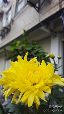 標(biāo)題被風(fēng)吹散了