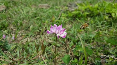 我的老家就在這個(gè)屯