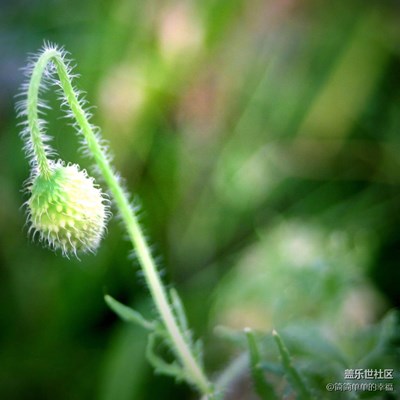 【簡簡單單】隨手拍