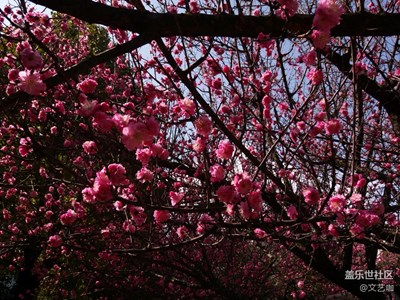 三星手機(jī)拍攝制作簡(jiǎn)易教程