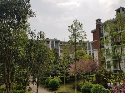 小區(qū)局域