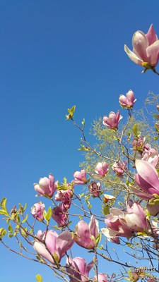 【2016-04-08】隨筆……