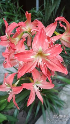 拍照技巧學(xué)習(xí)后大有進(jìn)步