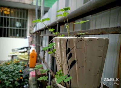 隨手了幾張照片