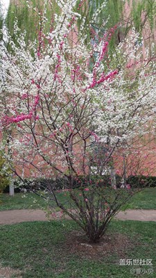 galaxy a5（2016）隨手拍