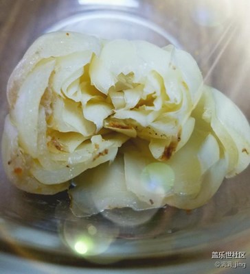 “玉蘭”花開??在碗里