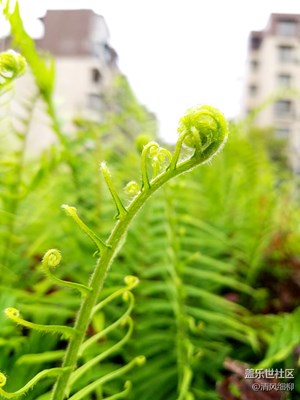 呼吸浸人心脾的空氣，感受那雨后的嫩綠