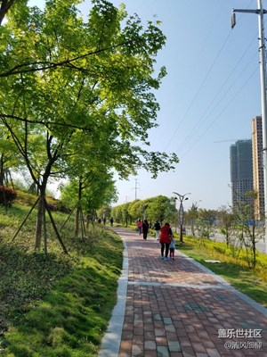 暖陽林蔭游人樂━三星Galaxy  S7專業(yè)模式實(shí)拍