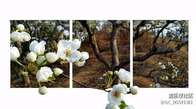 第一次做 不完美