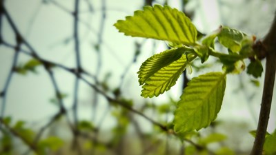 S7鏡頭下的春意盎然