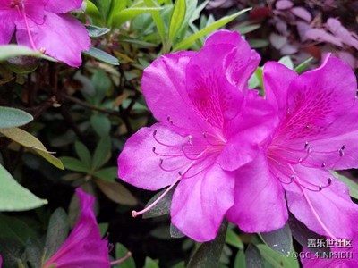 首秀，多多包涵了