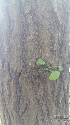 珍惜生命