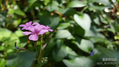 試試發(fā)片能不能顯示照片信息