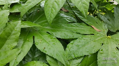 千龍湖拓展活動