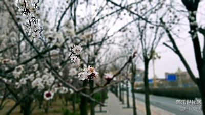 出差鄂爾多斯，不一樣的城，牛5還是不錯的。