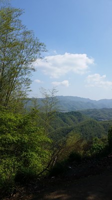 美麗的風(fēng)景