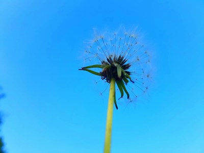 擁有S7就擁有不一樣的生活