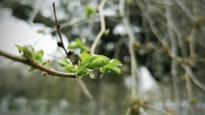 【春妝】+烏魯木齊+朵朵開