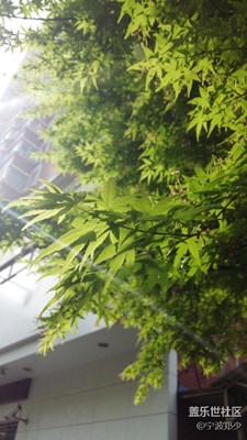 美好的清晨