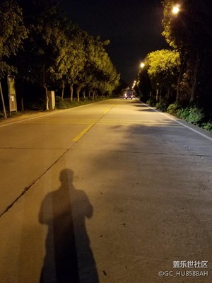 夜，綻放