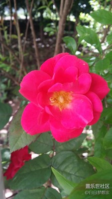 Galaxy Note3， 3年前的旗艦，3年后的精彩