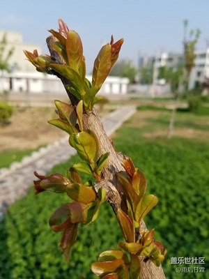 生長(zhǎng)，充滿著力量！