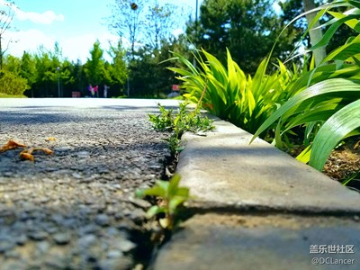 春天的北京，帶著女票去踏青