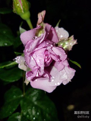 雨夜里半開的青空