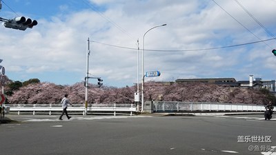 帶著小七游京都 DAY3