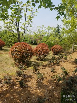 怎么在照片下面加EXIF信息啊？