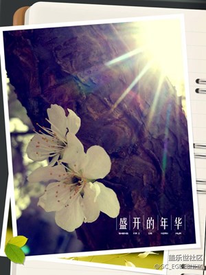 冷默
