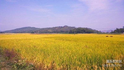 諾基亞出品，粵鄉(xiāng)風情