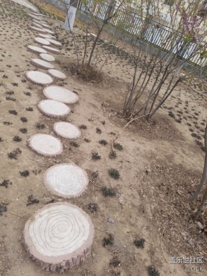 隨拍