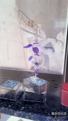 花??