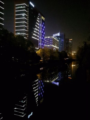 夜景與茶花