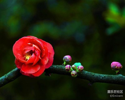 發(fā)幾張之前的照片