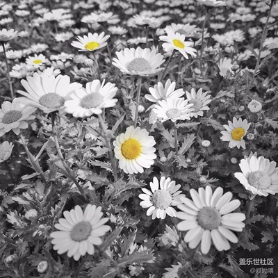 花了五個小時拍攝精簡出來的