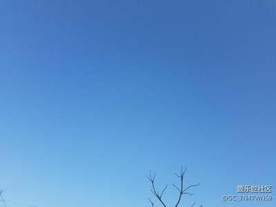 隨便拍拍