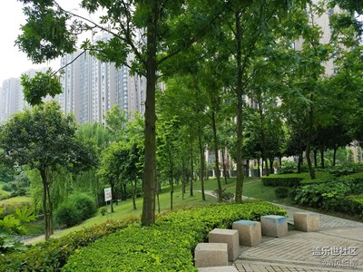 【勞動(dòng)者的歌】+綿陽(yáng)市+城市美容師