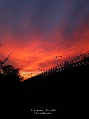 漫游自然的精靈