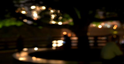 公園夢幻夜景