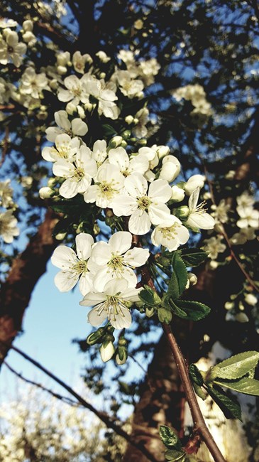 20160415_202841.jpg