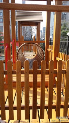 春天 陽(yáng)光 希望