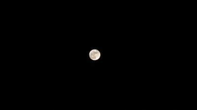 白天不懂夜的黑