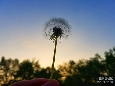 留住那一剎那間
