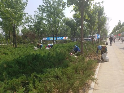 【勞動(dòng)者的歌】+錦州+辛勤園丁